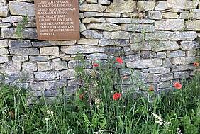 Mauer mit Blumen davor und Infotafel