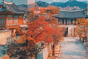 Ein Bild eines koreanisches Hauses gesäumt von Bäumen mit braunen Blättern