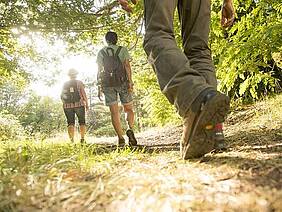 3 Personen wandern über eine Lichtung.