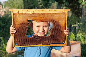 Ein Junge mit einer Bienenwabe in der Hand