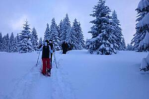 Eine Schneelandschaft und Menschen in Schneeanzügen mit Ski, die sich den Weg durch den Schnee ebnen